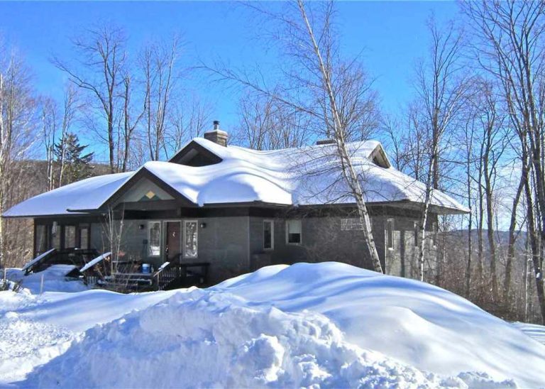 removal professional ice dam